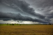 Storm Photos Page 4